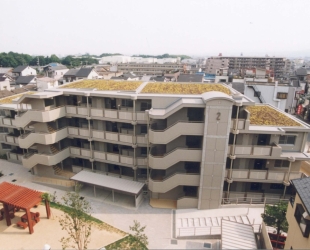 京都府 「府営住宅常盤団地第2工区建設工事」